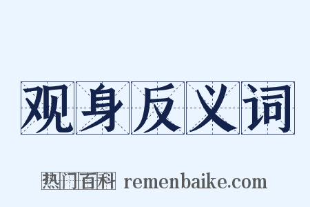 观身反义词是什么意思的图片